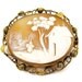 Scenic Carved Shell Cameo Brooch 1910's