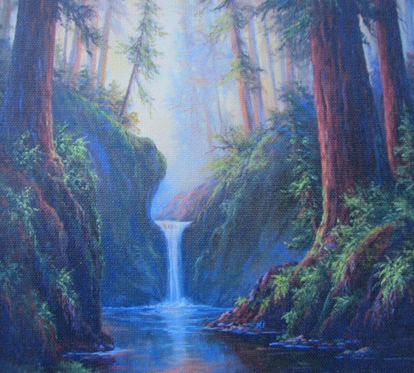 Redwood Creek,  Giclee print by Griselda Tello