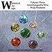 Interchangeable Wire Wrap Wrapped Fried Marble Pendant Jewelry Instructional Technique Tutorial DVD