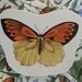 Sakura Butterfly Mosaic Tiles w/ Large Focal Art Tile