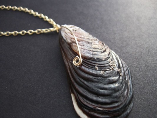 Oyster Shell Necklace Gold ... by Pretty Cheap Jewelry