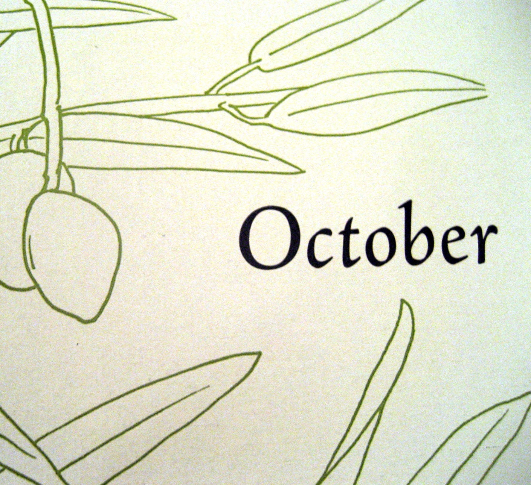 From the Fields 2009 Letterpress Printed Calendar