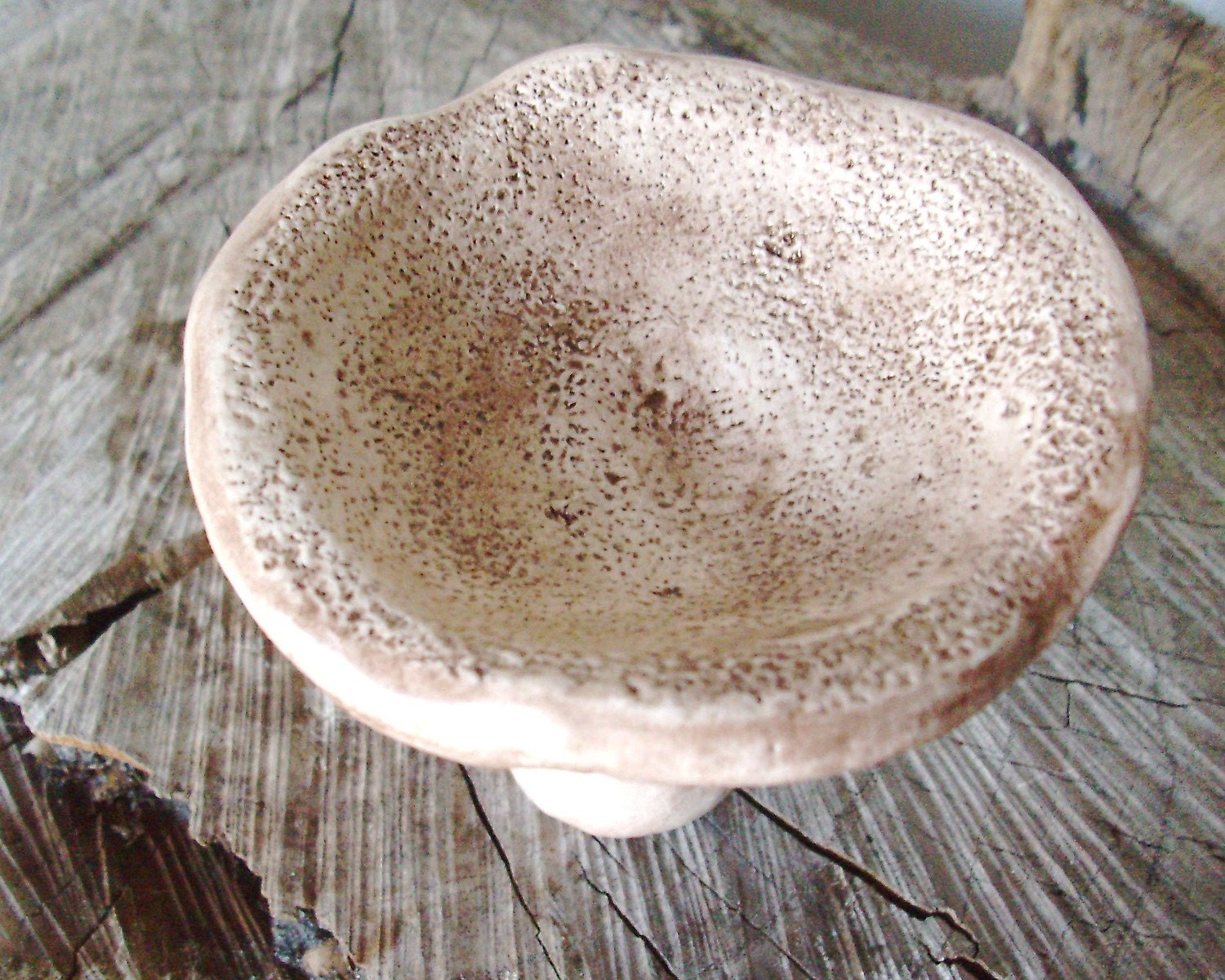 White Mushroom Porcelain Trinket Dish, Made to Order