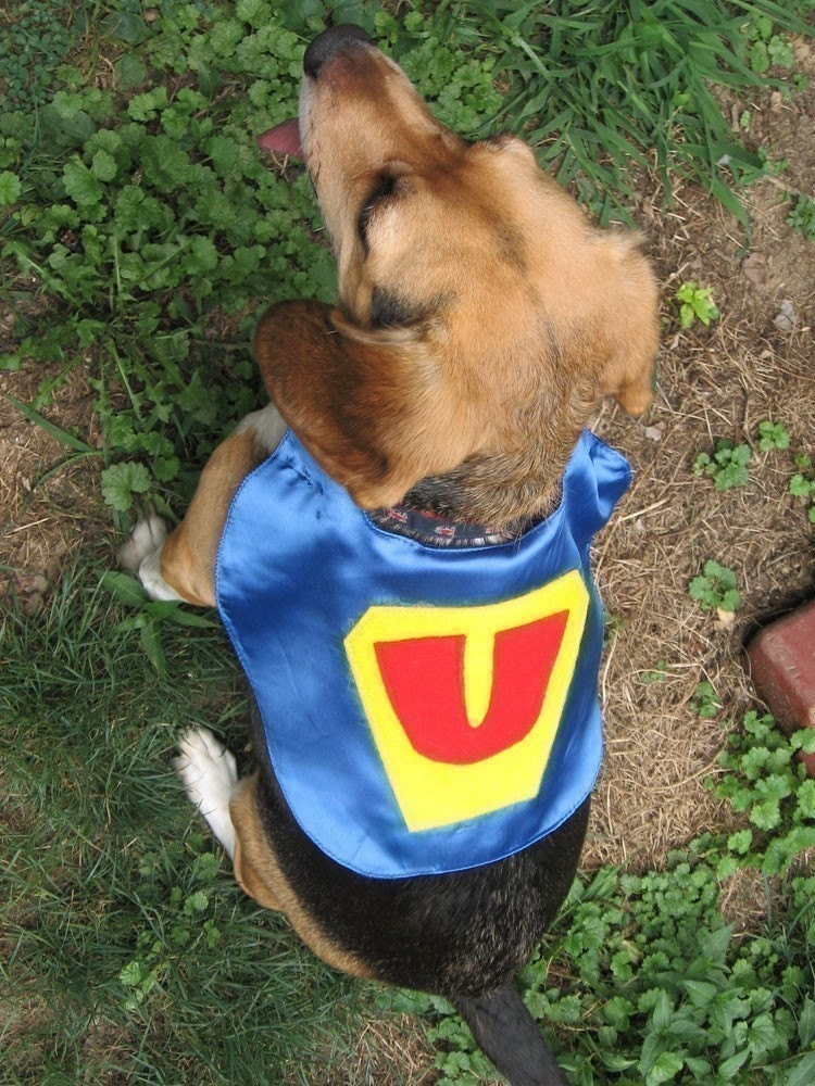Superhero Pet Capes Custom Initial Dog Cat Il_170x135
