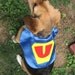 Superhero Pet Capes Custom Initial Dog Cat