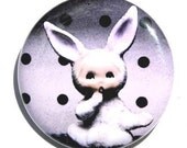 oops I did it again bunny child pinback button