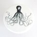 brushed nickel drawer pull with vintage illustration of octopus