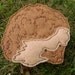 Cyrille the Hedgehog Applique Iron on Version