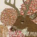 Ohh Deer Print