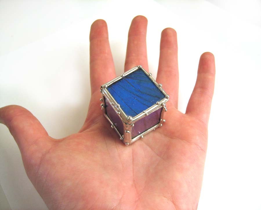 Tiny  Real Blue Morpho Butterfly Box