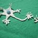 Crochet Motor Neuron