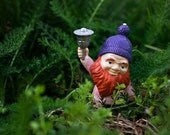 Ring Mah Bell - Dwarf Elf Gnome Toy Photography by Patrick Andrew Adams