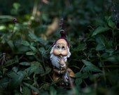 Oh Wait - 8x10, gnome, elf, toy photography, garden, green, peeking, cute, toy, miniature, good luck, fun, summer, spring