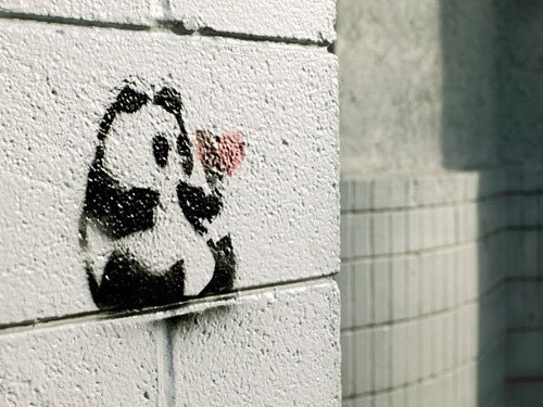 Panda Danda - Graffiti Love Panda Heart Fine Art Photograph by Patrick Andrew Adams - APTRICK