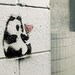 Panda Danda - Graffiti Love Panda Heart Fine Art Photograph by Patrick Andrew Adams - APTRICK