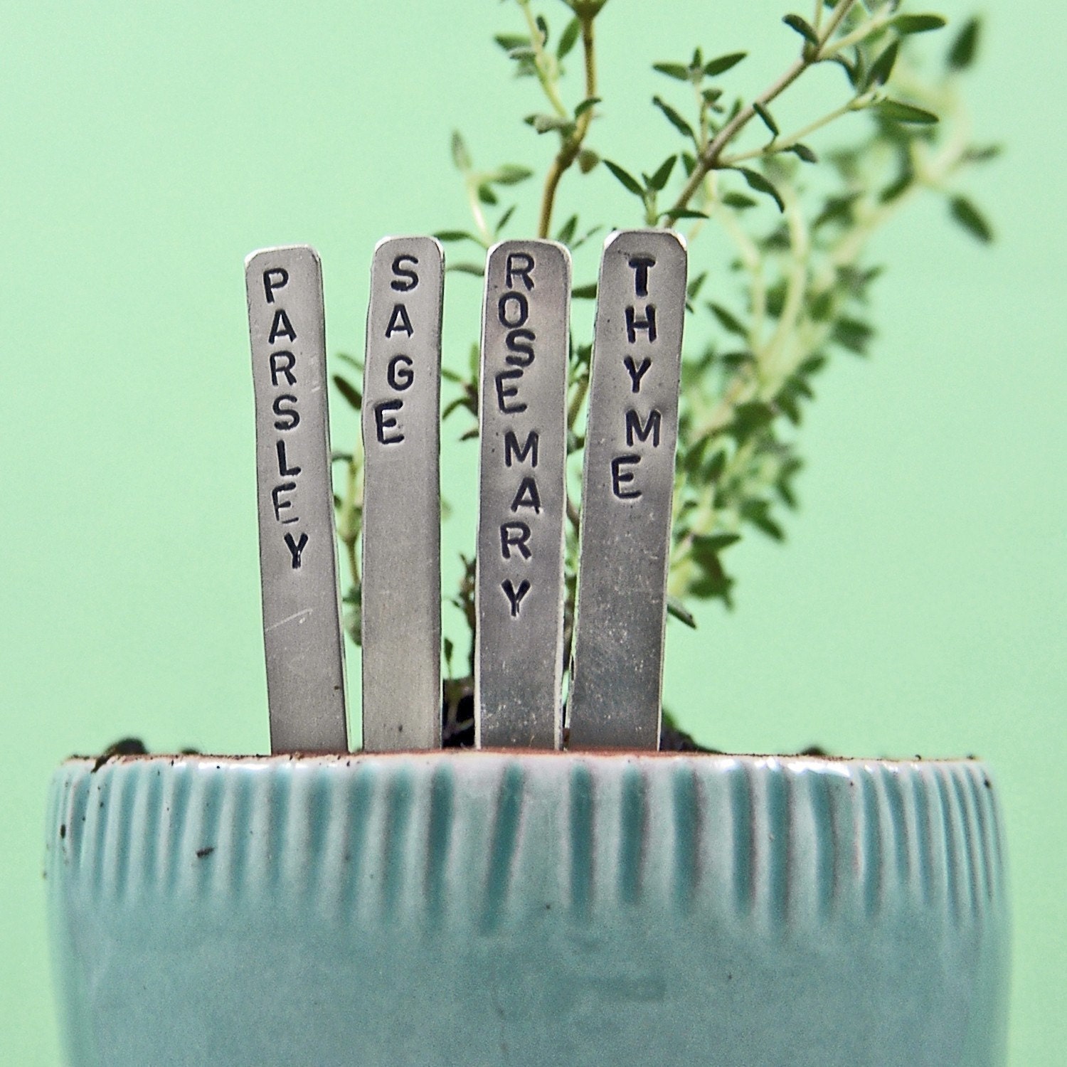 Herb Garden Plant Markers - Mini - Nickel