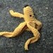 There's nothing funny about a banana peel