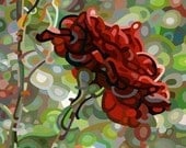 Abstract Fine Art Print - Last Rose of Summer