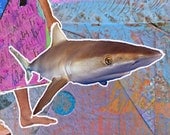 Pop Culture Funny Saying. "Live Every Day Like It's Shark Week." FOLK ART MAGNET. Discovery Channel. Snarky Silly Humor.