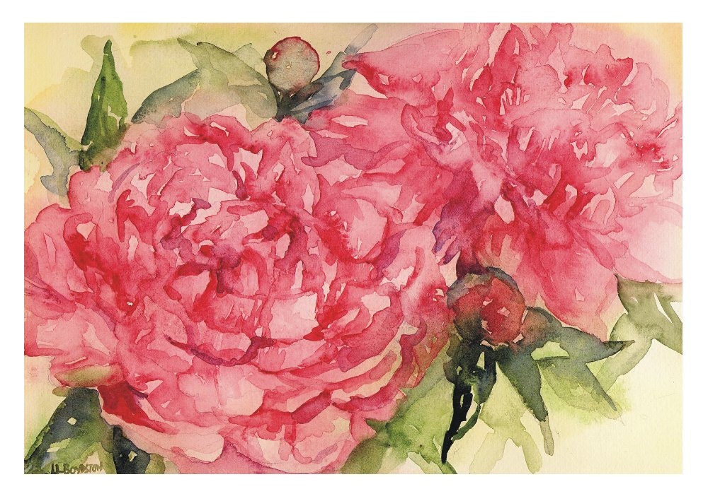 Watercolor Two Pink Peonies Giclee Print