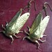 Cicada Brass Earrings