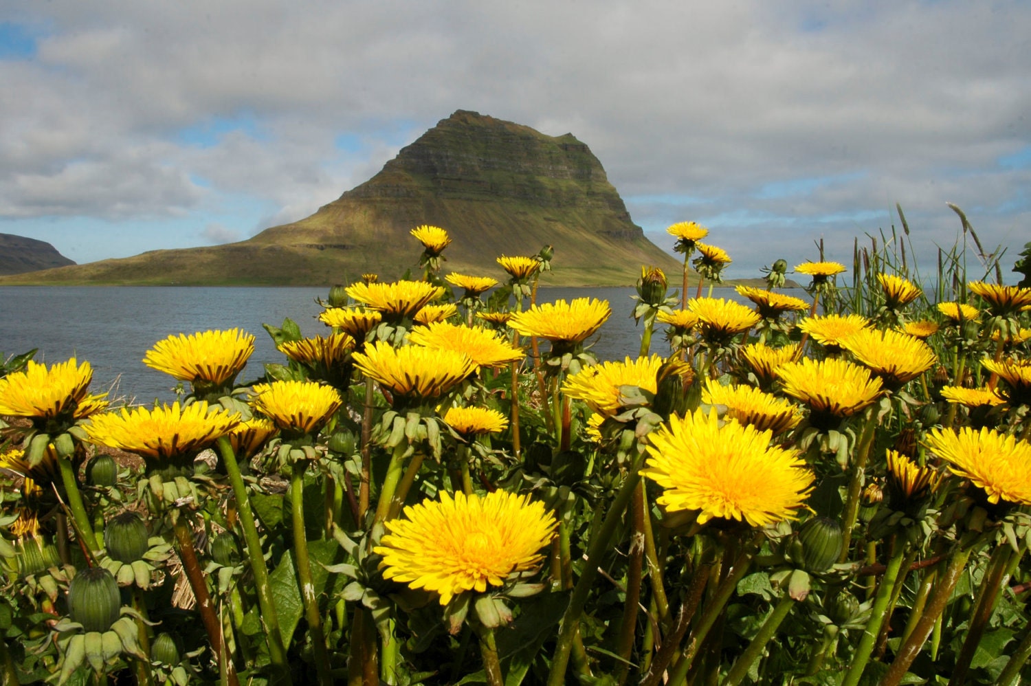 Kirkjufell Mountain in Iceland photo print