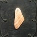 Shell Fragment Pendant - L