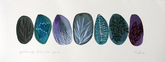 gatherings from the pond