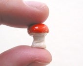 3 Orange top mini mushrooms for your terrarium or planter