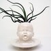 Modern White Baby Head Vase / Planter by Mudpuppy