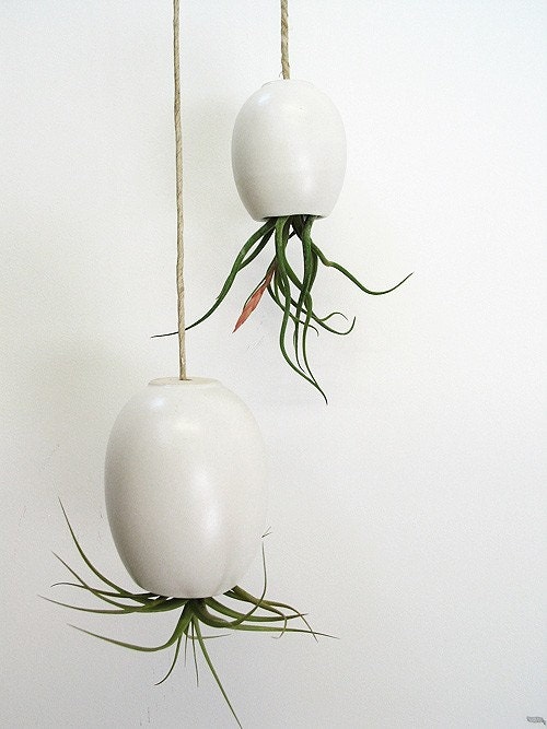 LARGE Hanging Air Plant Pod (tm) - Silky Matte White