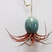 NEW COLOR - Hanging AirPlant Pod planter (tm) - Stunning Blue Green