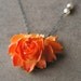 Tangerine Kiss