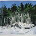 Snow Sumacs, Small Landscape Collage Painting on Paper, Original