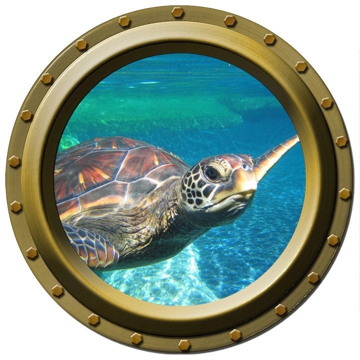 Large Sea Turtle Watching You Porthole Vinyl Decal