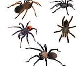 Creepy Crawly 5 Tarantula Spider Vinyl Decals - WilsonGraphics