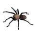 Giant Tarantula Spider Wall Decal