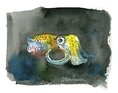 Bobtail Squid print- Cephalopod series-Mini