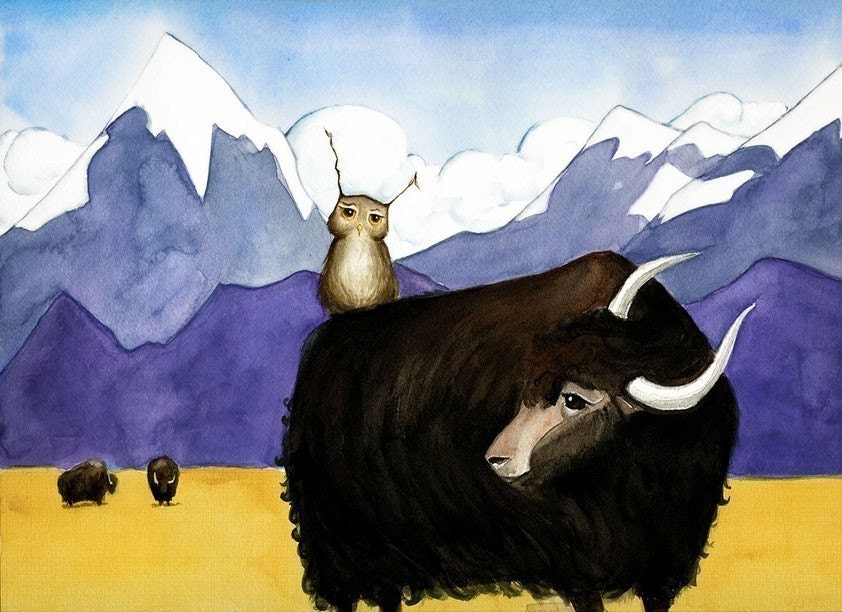Fine Art Print - Herbert Meets a Yak