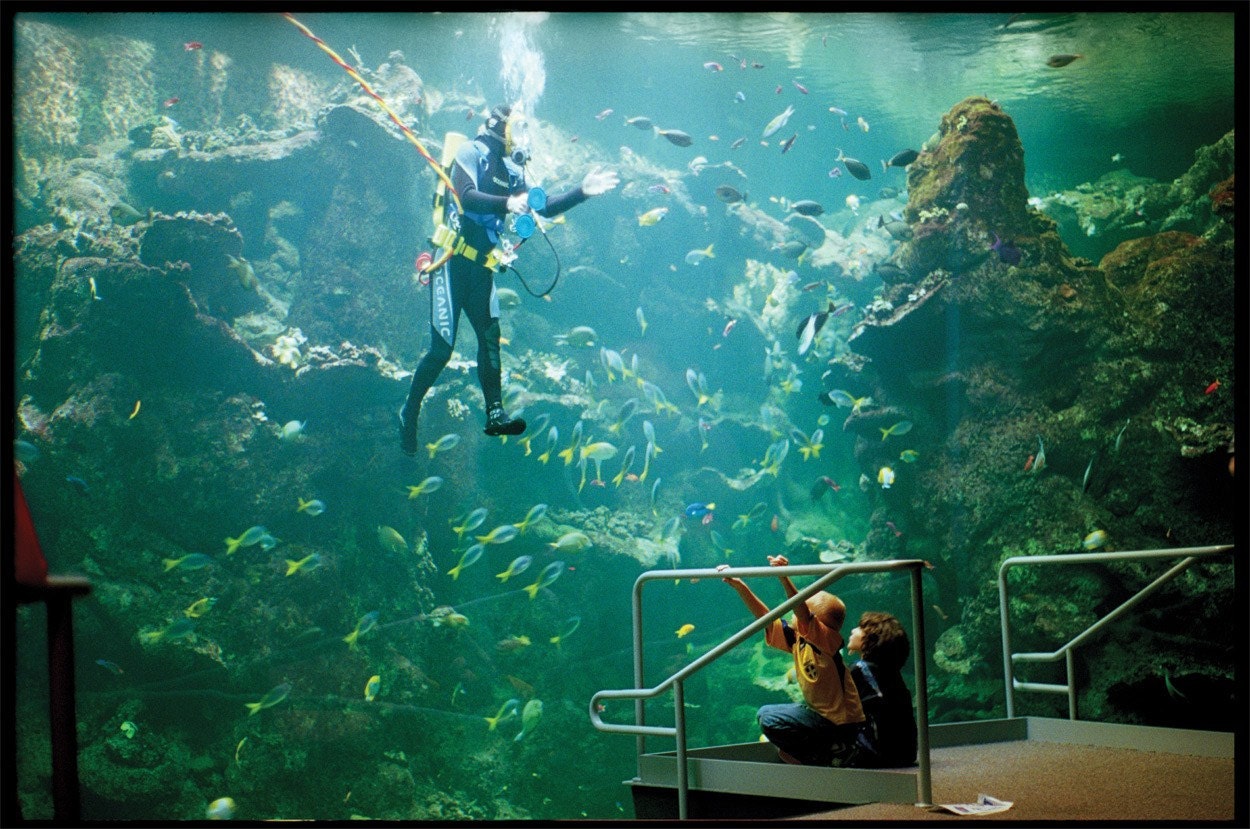 Underwater