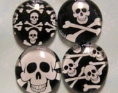 Skull and Crossbones Magnet Set