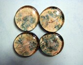 Blue Rose Magnets