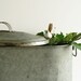Antique Tin Boiler, 1900s Vintage