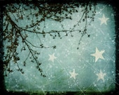 For You are Made of Stars -- 8x10 print