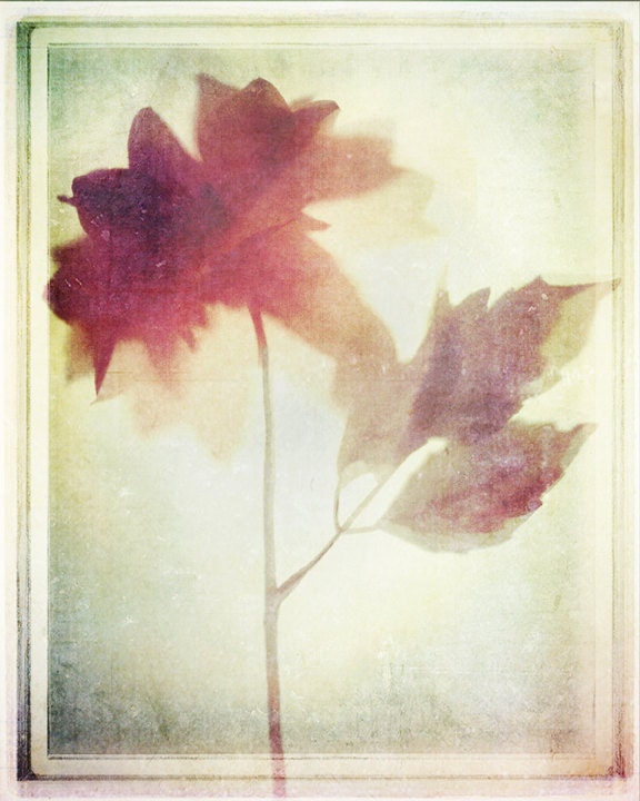 Flowers of Tomorrow's Happiness--  8x10 print