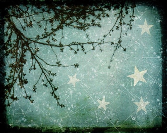 For You are Made of Stars -- 8x10 print