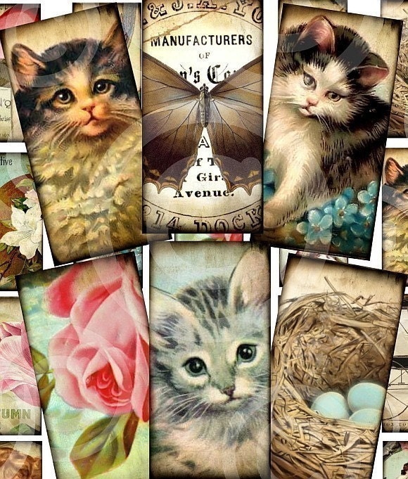 1 x 2 inch vintage designs DIGITAL Collage Sheet KiTTy CaTs Butterfly Wings BiRDs MuSHRooMs Bride OWL Domino Size images art supplies sh25