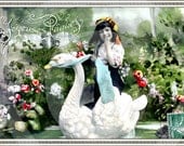 SWaN RiDeR antique PHoToGRaPH children child bird digital download scan image sheet collage vintage scrapbooking craft supplies