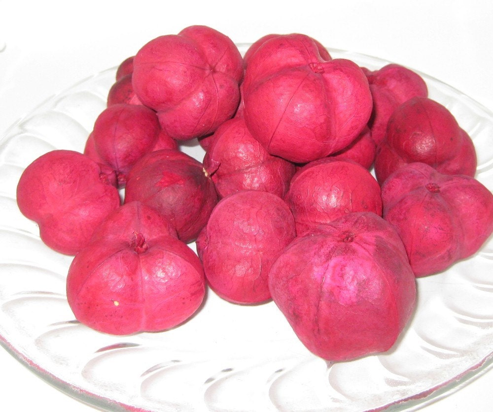Red Wild Apples for crafting