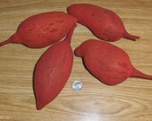 Red Baobab Pods for crafting